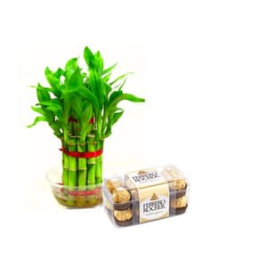 Good Luck Plants with Ferrero Rocher